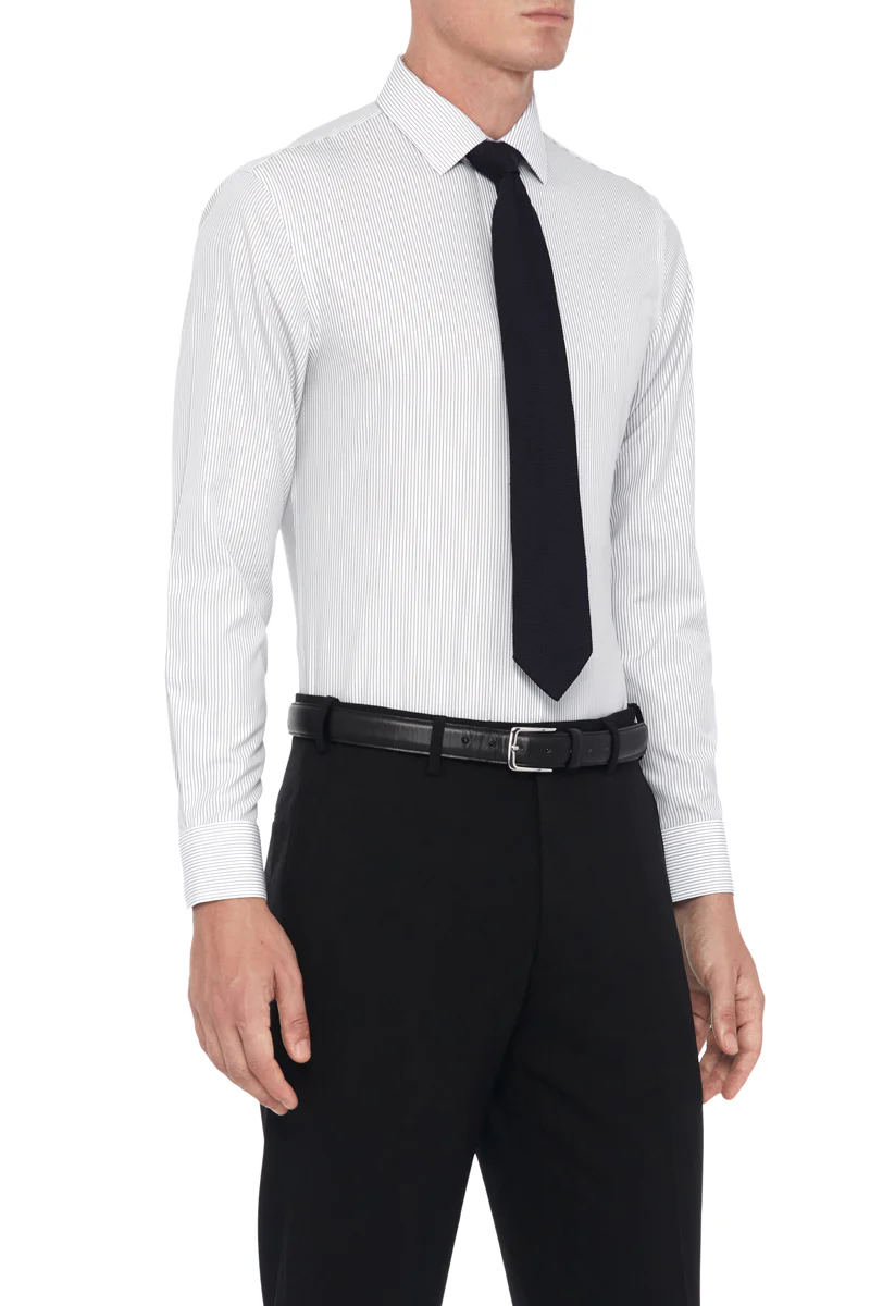 Wrinkle-Free Poplin Dress Shirt | Grey Stripes 10774N - Image 3